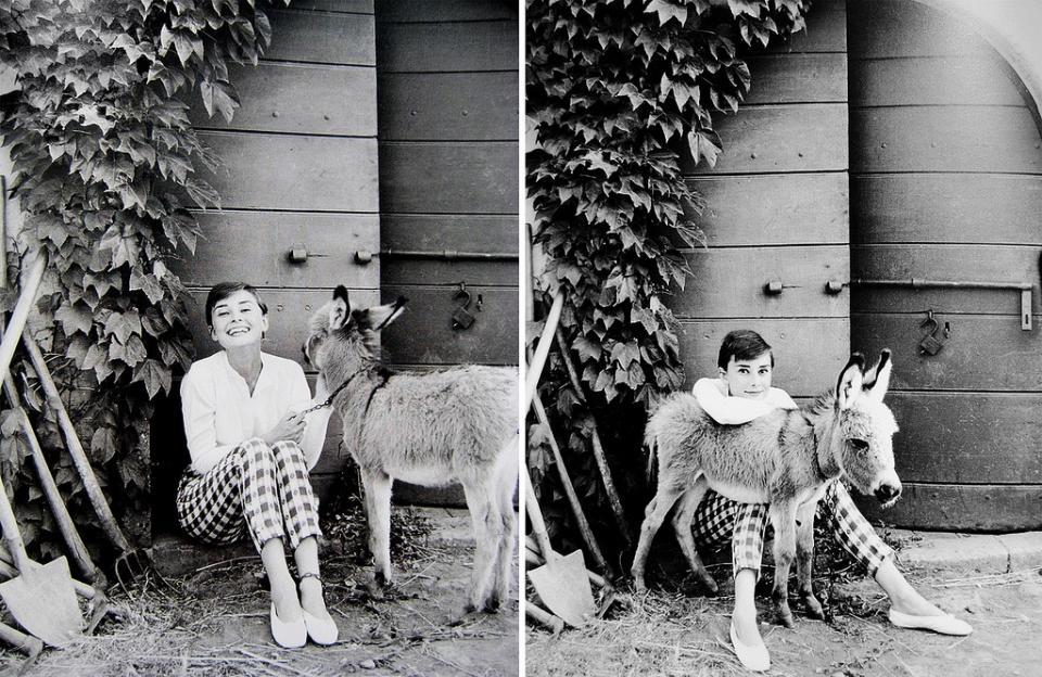 Audrey Hepburn